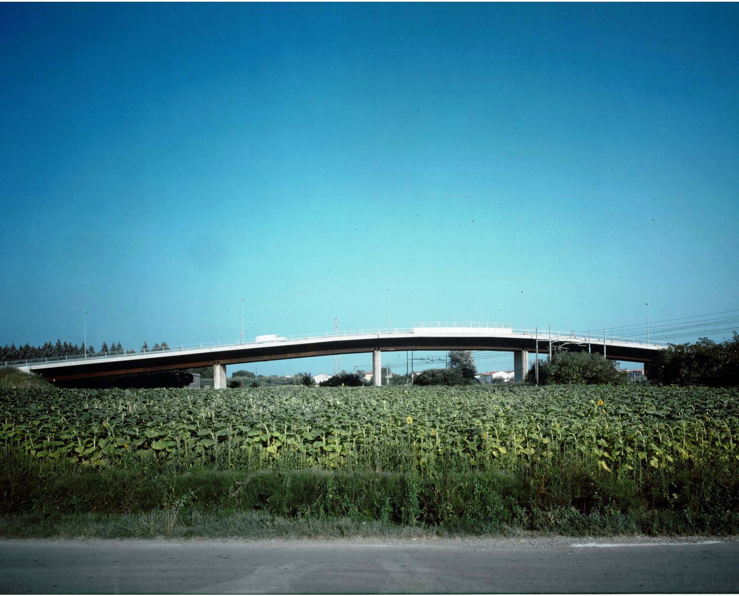 ?????????????